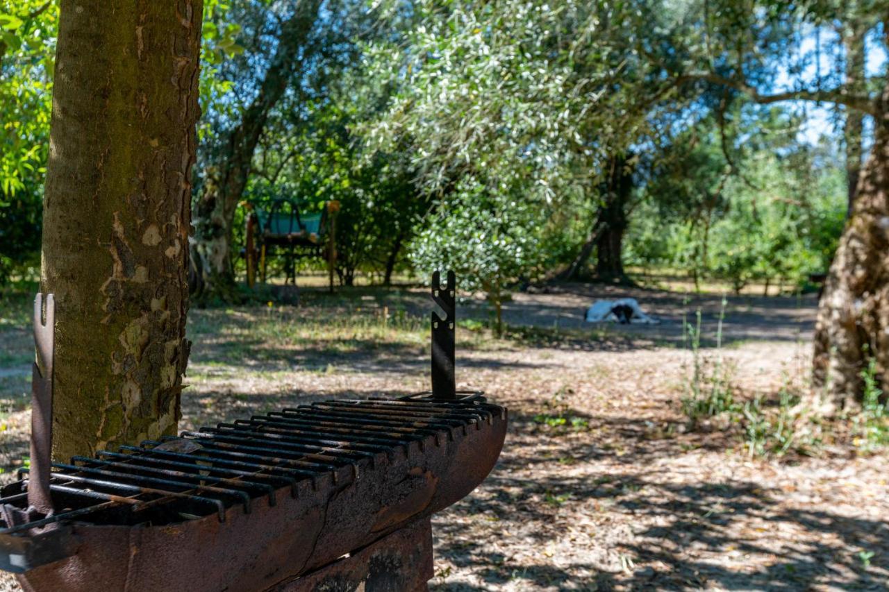 Chalé da Quinta Lavoura da Bouça - Fruta Bio Celorico De Basto Exterior foto