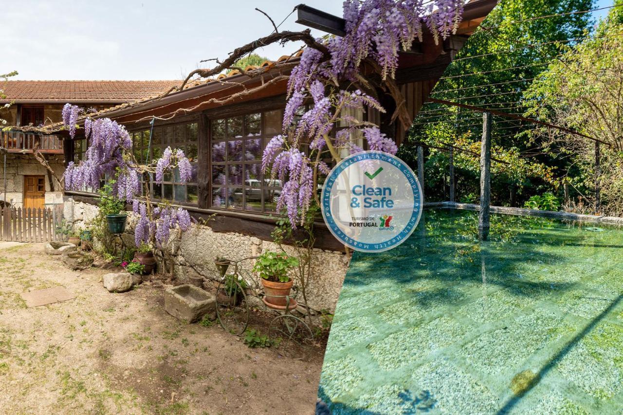 Chalé da Quinta Lavoura da Bouça - Fruta Bio Celorico De Basto Exterior foto