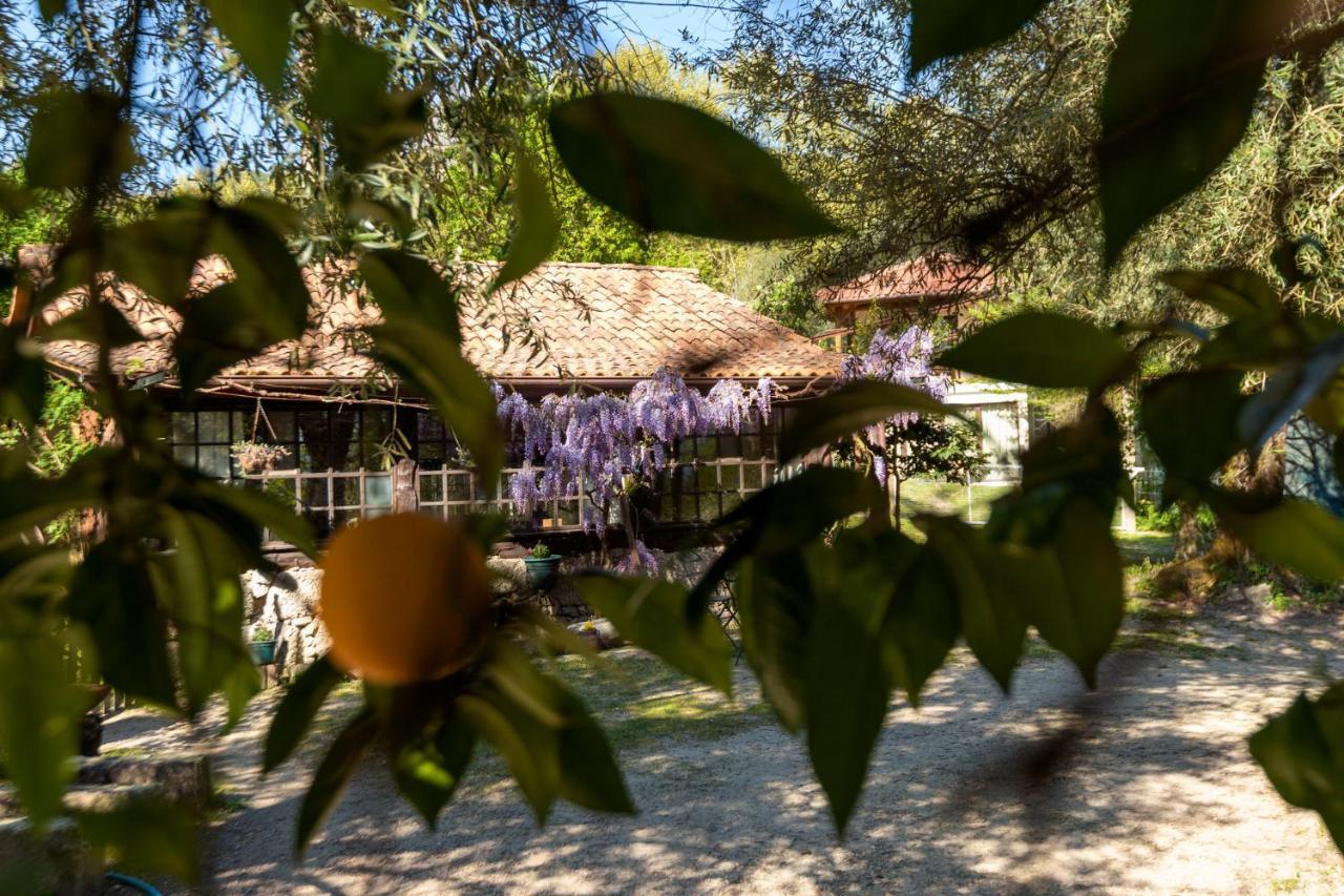 Chalé da Quinta Lavoura da Bouça - Fruta Bio Celorico De Basto Exterior foto