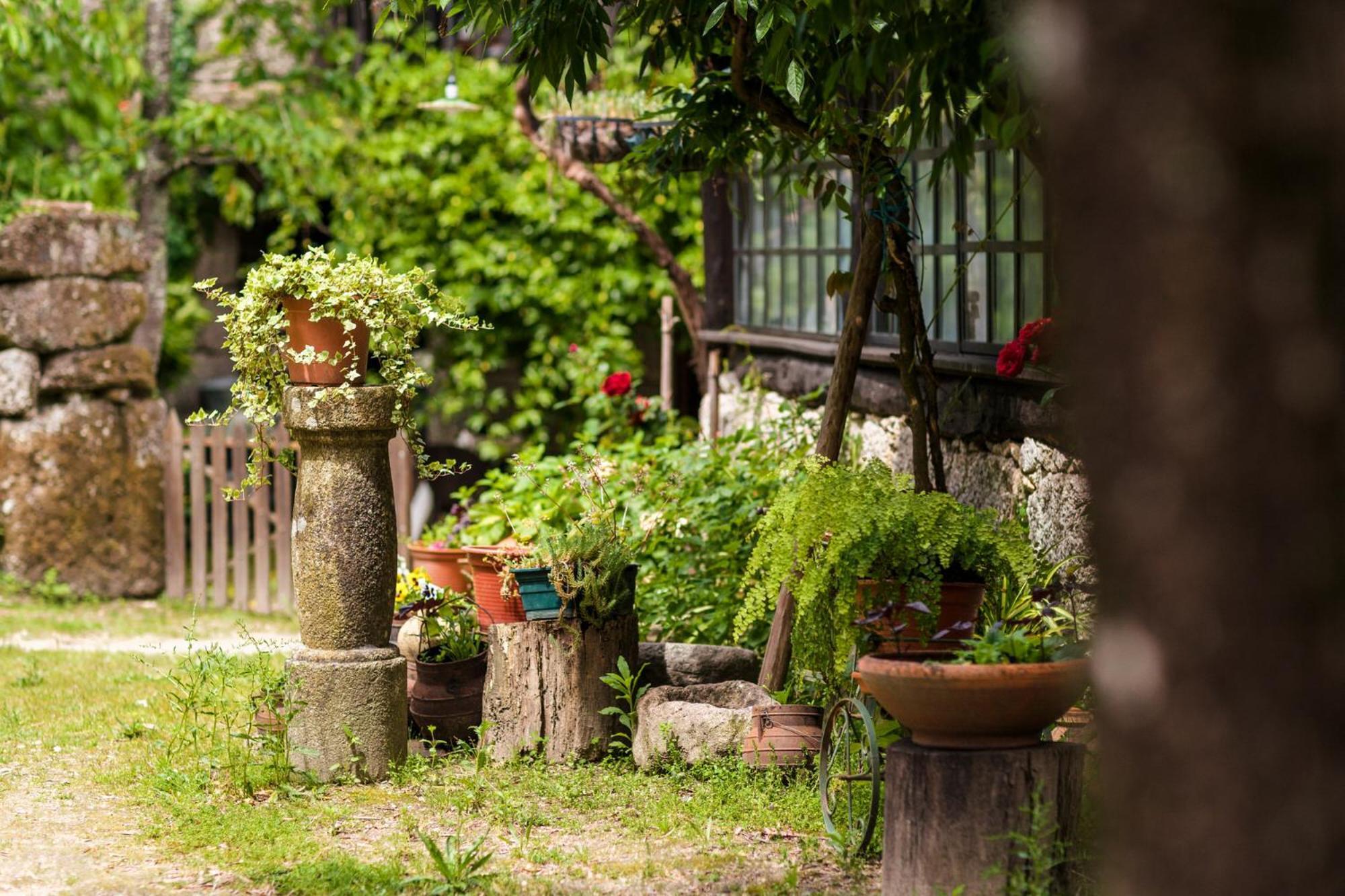 Chalé da Quinta Lavoura da Bouça - Fruta Bio Celorico De Basto Exterior foto