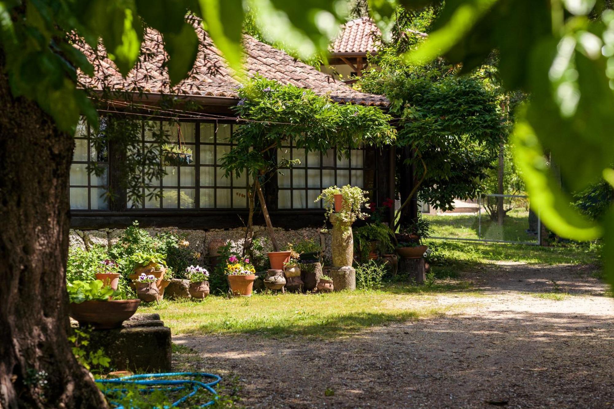 Chalé da Quinta Lavoura da Bouça - Fruta Bio Celorico De Basto Exterior foto