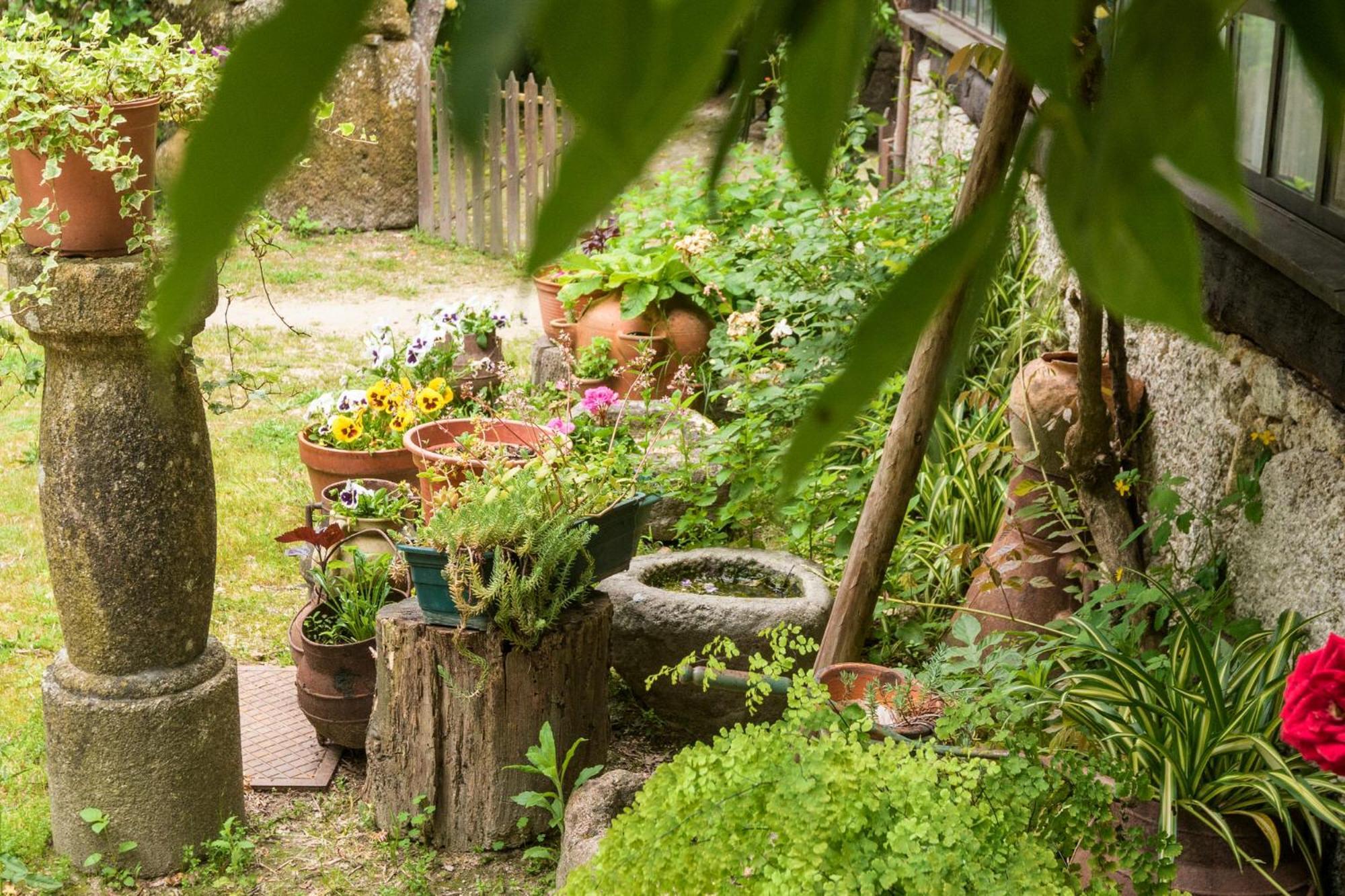 Chalé da Quinta Lavoura da Bouça - Fruta Bio Celorico De Basto Exterior foto