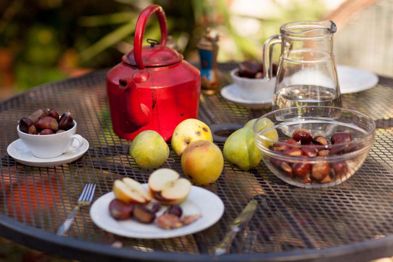 Chalé da Quinta Lavoura da Bouça - Fruta Bio Celorico De Basto Quarto foto
