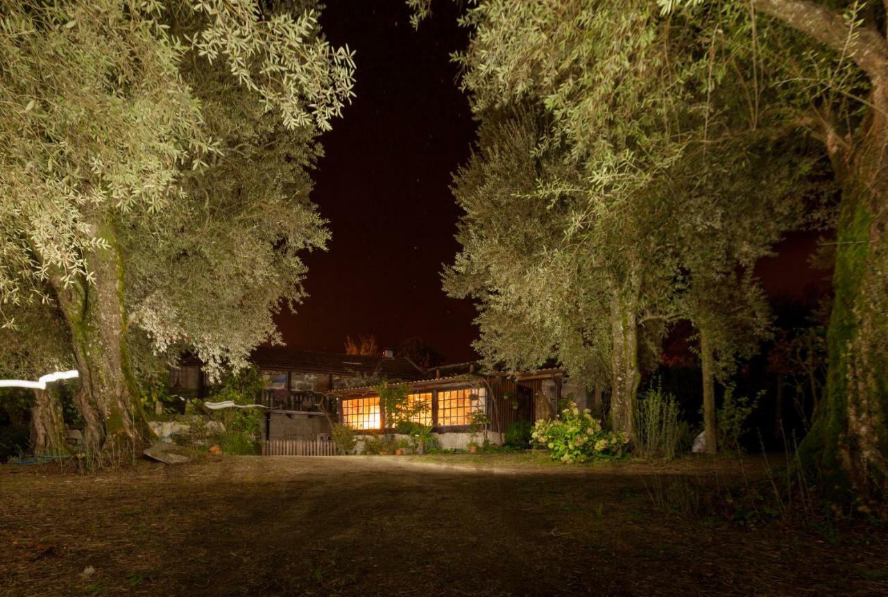 Chalé da Quinta Lavoura da Bouça - Fruta Bio Celorico De Basto Exterior foto